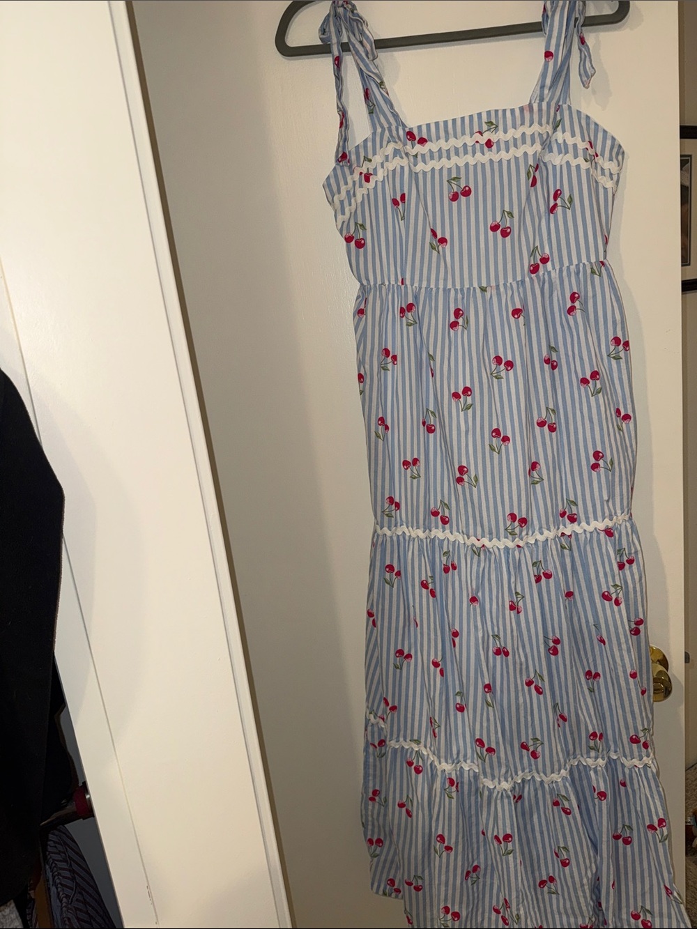 Rachel Zoe Blue and White Striped Cherry Maxi Dress